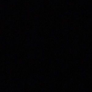 Meet your Posher, Rose